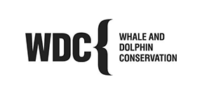 WDC(Whale and Dolphin Conservation)