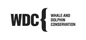 WDC, Whale and Dolphin Conservation